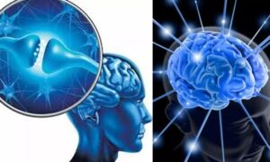 WhatsApp Image 2024-04-22 at 2.37.16 PM