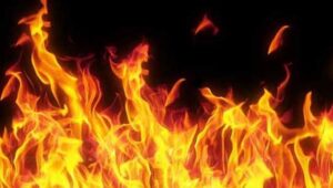 WhatsApp Image 2024-04-24 at 1.34.31 PM