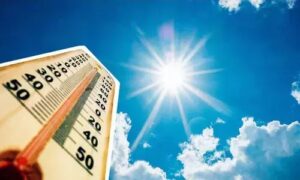 WhatsApp Image 2024-04-24 at 9.58.15 AM