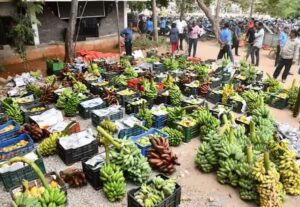 WhatsApp Image 2024-04-25 at 10.55.50 AM