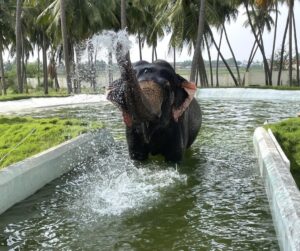 WhatsApp Image 2024-04-25 at 12.29.04 PM