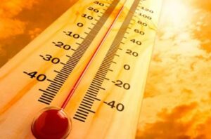 WhatsApp Image 2024-04-30 at 1.18.46 PM