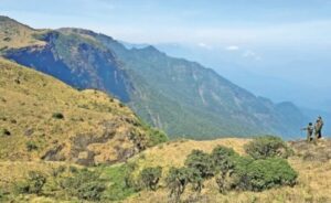 WhatsApp Image 2024-04-30 at 2.44.39 PM