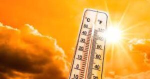 WhatsApp Image 2024-05-02 at 4.00.49 PM