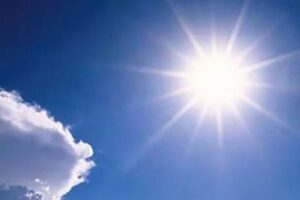 WhatsApp Image 2024-05-03 at 10.47.37 AM