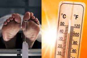 WhatsApp Image 2024-05-03 at 3.37.18 PM