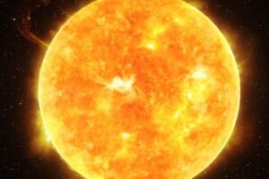 WhatsApp Image 2024-05-04 at 10.07.23 AM