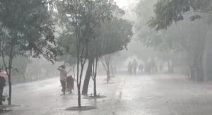 WhatsApp Image 2024-05-04 at 10.12.51 AM