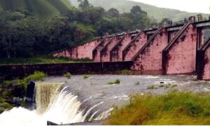 WhatsApp Image 2024-05-04 at 10.31.01 AM