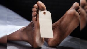 WhatsApp Image 2024-05-04 at 2.45.38 PM