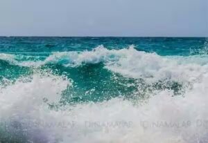 WhatsApp Image 2024-05-04 at 2.56.40 PM