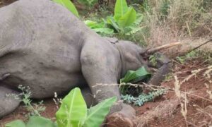 WhatsApp Image 2024-05-04 at 2.58.03 PM