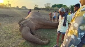 WhatsApp Image 2024-05-06 at 12.17.52 PM