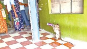 WhatsApp Image 2024-05-07 at 2.16.50 PM