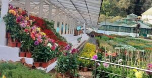 WhatsApp Image 2024-05-08 at 3.01.13 PM