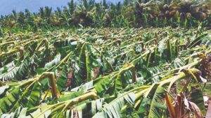 WhatsApp Image 2024-05-09 at 1.26.59 PM