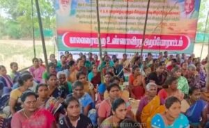 WhatsApp Image 2024-05-09 at 11.53.45 AM