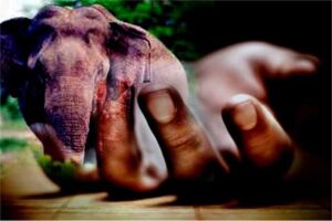 WhatsApp Image 2024-05-09 at 12.01.10 PM