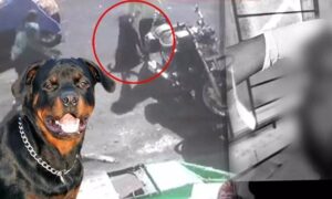 WhatsApp Image 2024-05-09 at 3.05.58 PM