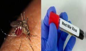 WhatsApp Image 2024-05-11 at 1.18.32 PM