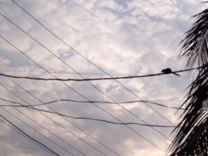 WhatsApp Image 2024-05-11 at 1.49.12 PM