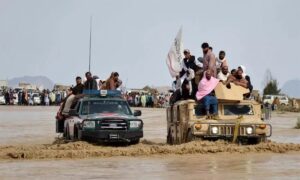 WhatsApp Image 2024-05-11 at 11.29.43 AM