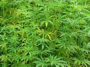 WhatsApp Image 2024-05-11 at 2.54.58 PM