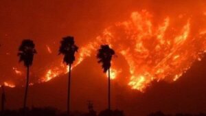 WhatsApp Image 2024-05-13 at 1.02.13 PM