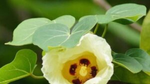 WhatsApp Image 2024-05-13 at 1.58.08 PM