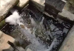 WhatsApp Image 2024-05-13 at 11.02.15 AM