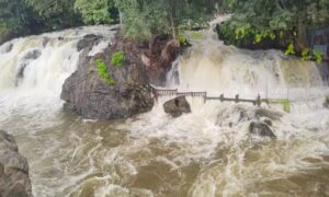 WhatsApp Image 2024-05-15 at 1.16.24 PM