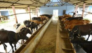 WhatsApp Image 2024-05-15 at 3.06.15 PM