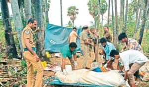 WhatsApp Image 2024-05-15 at 3.12.39 PM