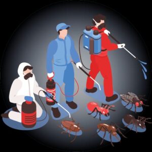 WhatsApp Image 2024-05-15 at 3.51.56 PM