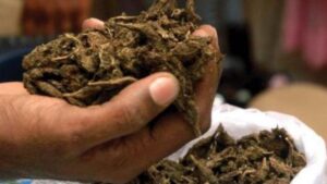 WhatsApp Image 2024-05-17 at 11.01.39 AM