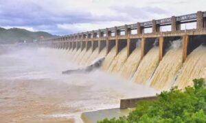 WhatsApp Image 2024-05-17 at 11.43.23 AM