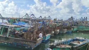 WhatsApp Image 2024-05-17 at 11.49.49 AM