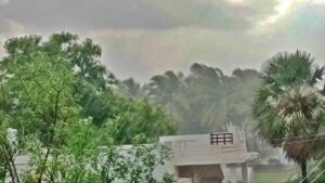 WhatsApp Image 2024-05-17 at 12.03.10 PM