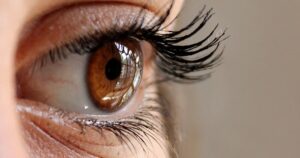 WhatsApp Image 2024-05-17 at 2.49.32 PM