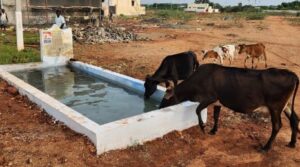 WhatsApp Image 2024-05-18 at 11.29.53 AM