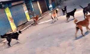 WhatsApp Image 2024-05-18 at 3.05.41 PM