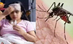 WhatsApp Image 2024-05-18 at 3.18.05 PM