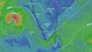 WhatsApp Image 2024-05-18 at 3.31.05 PM