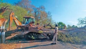 WhatsApp Image 2024-05-18 at 3.59.13 PM