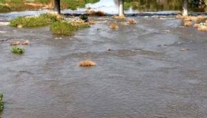 WhatsApp Image 2024-05-18 at 4.16.48 PM