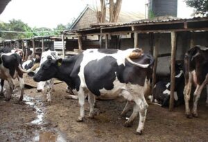 WhatsApp Image 2024-05-20 at 1.07.17 PM