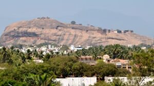 WhatsApp Image 2024-05-20 at 1.43.36 PM