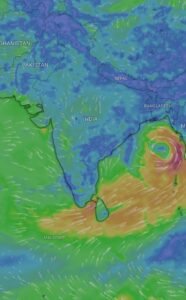 WhatsApp Image 2024-05-20 at 1.53.40 PM