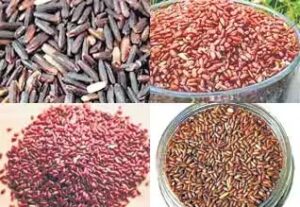 WhatsApp Image 2024-05-20 at 12.02.01 PM