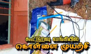 WhatsApp Image 2024-05-20 at 12.11.28 PM